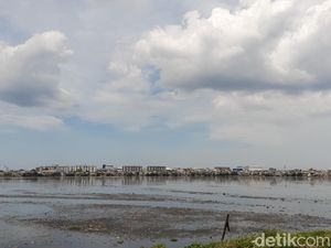 detikcom Do Your Magic: Waduk Pluit Mulai Bersih dari Eceng Gondok-Sampah detikcom Do Your Magic: Waduk Pluit Mulai Bersih dari Eceng Gondok-Sampah