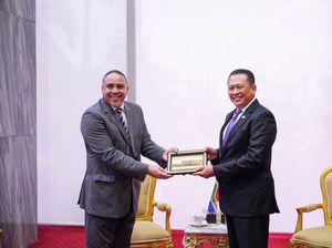 Potensi Kerja Sama RI dan Afsel soal PLTN hingga Pelestarian Satwa