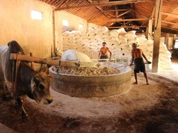 5 Fakta Mie Lethek, Mie Ndeso Khas Bantul yang Terbuat dari Singkong