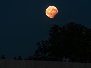 Jadwal Gerhana Bulan 2021, Besok Ada Gerhana Bulan Sebagian! Jadwal Gerhana Bulan 2021, Besok Ada Gerhana Bulan Sebagian!
