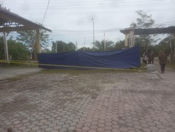 Kasus Berlanjut, Bangkai Anjing Canon yang Mati di Aceh Diautopsi