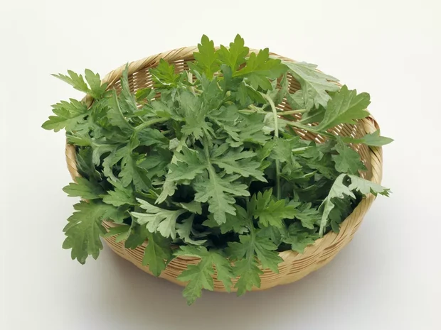 Manfaat mugwort/Foto: Learnreligions.com Manfaat mugwort