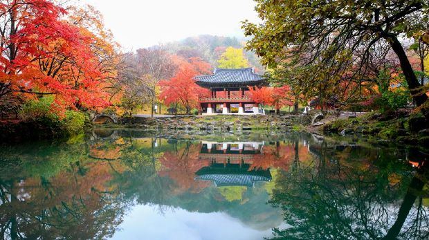 National Center for Activities, Jangseong