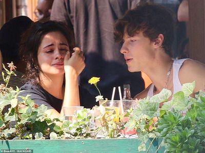 Shawn Mendes dan Camila Cabello Putus, Ini Momen Kulinernya saat Masih Bersama