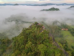 Hutan Keramat Cara Jitu Konservasi Tumbuhan