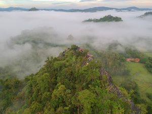 Hutan Keramat Cara Jitu Konservasi Tumbuhan Hutan Keramat Cara Jitu Konservasi Tumbuhan