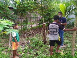 Sejumlah Warga Bali Ngeluh Pohon Pisang Tumbang Buntut Salam dari Binjai