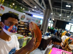 Deretan Hewan Eksotis Ini Dipamerkan, Ada yang Bernilai Ratusan Juta Rupiah