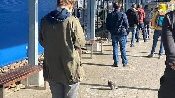 Foto Viral yang Susah Dijelaskan, Bikin Garuk-garuk Kepala