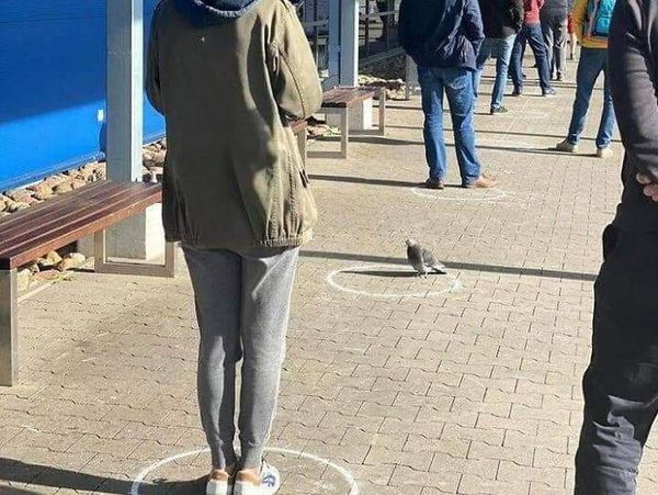 Foto Viral yang Susah Dijelaskan, Bikin Garuk-garuk Kepala