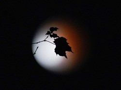 Gerhana Bulan Sebagian 29 Oktober 2023, Ini Tata Cara Salat Gerhana-Doanya