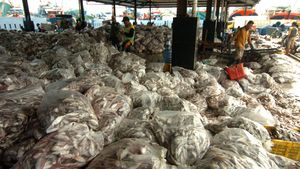 Tangkapan Melimpah Harga Ikan di Nelayan Turun