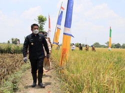 Herman Deru Raih Penghargaan Terkait Pengembangan Sektor Pertanian