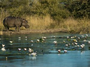 Foto: Destinasi Terbaik di tahun 2022 versi National Geographic