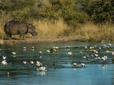 Foto: Destinasi Terbaik di tahun 2022 versi National Geographic