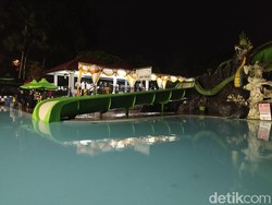 Taman Kyai Langgeng Magelang Kini Punya Kafe, Menu Andalannya Ikan Arwana