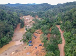 Keindahan Bukit Bulan Jambi Terusik Tambang Emas Ilegal