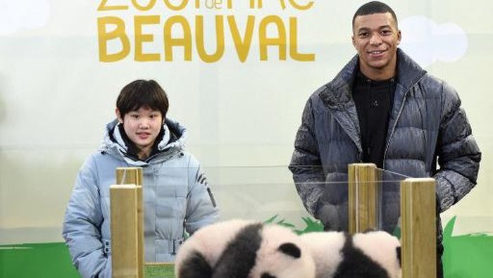 Gold medalist in 10-metre synchronised diving at the Tokyo OlympicsChinas Zhang Jiaqi and French footballer Kylian Mbappe (R) pose with the two panda twins born last August 2 during a ceremony to reveal their final Chinese names at The Beauval Zoo in Saint-Aignan-sur-Cher, central France on November 18, 2021. - Kylian Mbappe and Chinas Zhang Jiaqi are the godparents of the panda cubs, named Yuandudu and Huanlili. (Photo by GUILLAUME SOUVANT / AFP)