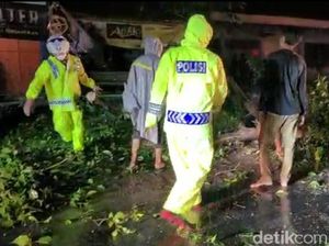 Pohon Tumbang di Jalan Ngawi-Solo hingga Macet Satu Jam