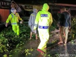 Pohon Tumbang di Jalan Ngawi-Solo hingga Macet Satu Jam
