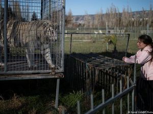 Prancis Larang Penggunaan Satwa Liar dalam Pertunjukan Sirkus