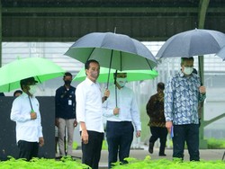Jokowi: Kita Ingin Tunjukkan Indonesia Serius Tangani Perubahan Iklim