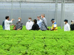 Klaim Jokowi Serius Tangani Perubahan Iklim