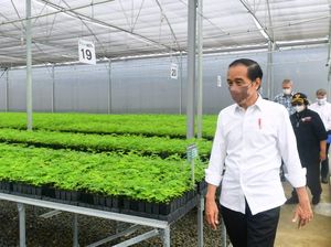 Berkunjung ke Makassar Presiden Jokowi Cicip Coto Makassar hingga Sanggara Balanda