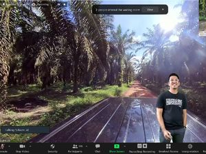 RSPO Gelar Virtual Tour Pengelolaan Kebun Kelapa Sawit Berkelanjutan