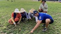 Aksi Toprak Razgatlioglu Potong Rumput Jelang Balapan di Mandalika