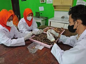 Arang Briket Buatan Pelajar Jombang Juara Olimpiade Sains Internasional, Kok Bisa? Arang Briket Buatan Pelajar Jombang Juara Olimpiade Sains Internasional, Kok Bisa?