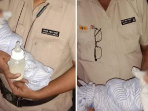 Dibuang di Selokan, Bayi di India Diselamatkan Sekawanan Kucing