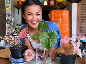 4 Bisnis Kuliner Nirina Zubir, Ada yang Laris Hingga Tutup Permanen