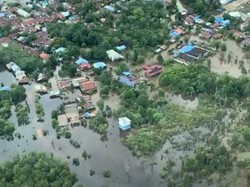 Kepala BNPB Langsung Tinjau Banjir Sintang Usai Dilantik Jokowi