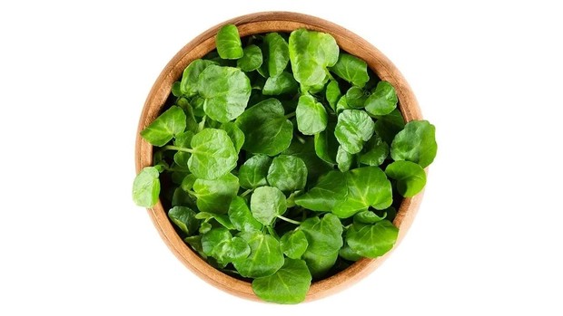 Tak cuma jadi bahan pelengkap, salada air bisa kamu jadikan menu olahan untuk menjaga ketahanan tubuh ketika menjalani pola diet vegetarian.