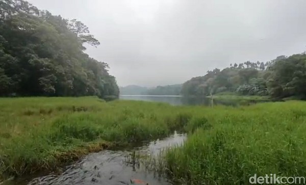 Juru kunci Telaga Ranjeng, Jamal (43) yang juga petugas keamanan kawasan hutan lindung Telaga Ranjeng menceritakan perihal keunikan telaga ini. Pada awalnya, cerita Jamal, telaga itu dihuni jenis Ikan Wader. Namun ikan jenis itu menghilang, dan berganti menjadi lele, yang uniknya ukurannya hampir sama. Sudah beberapa kali, jenis ikan yang hidup di Telaga Ranjeng berganti-ganti secara mendadak. Setelah populasi ikan lele, sejak tahun 2020 lalu berganti menjadi ikan Mas. Juru kunci Telaga Ranjeng, Jamal (43) yang juga petugas keamanan kawasan hutan lindung Telaga Ranjeng menceritakan perihal keunikan telaga ini. Pada awalnya, cerita Jamal, telaga itu dihuni jenis Ikan Wader. Namun ikan jenis itu menghilang, dan berganti menjadi lele, yang uniknya ukurannya hampir sama. Sudah beberapa kali, jenis ikan yang hidup di Telaga Ranjeng berganti-ganti secara mendadak. Setelah populasi ikan lele, sejak tahun 2020 lalu berganti menjadi ikan Mas.