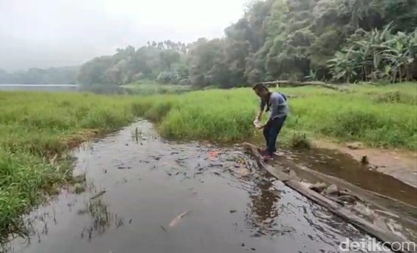 Selain panorama alamnya yang memesona, Telaga Ranjeng juga dikenal sebagai tempat wisata yang penuh dengan mitos. Telaga dengan luas 18,85 ha ini terdapat ikan yang sangat jinak, dan menjadi daya tarik bagi wisatawan. Meski jinak, tidak ada satu orang pun yang berani mengambilnya. Selain panorama alamnya yang memesona, Telaga Ranjeng juga dikenal sebagai tempat wisata yang penuh dengan mitos. Telaga dengan luas 18,85 ha ini terdapat ikan yang sangat jinak, dan menjadi daya tarik bagi wisatawan. Meski jinak, tidak ada satu orang pun yang berani mengambilnya.