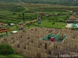 Serunya Mencoba Flying Fox di Lereng Gunung Argopuro Probolinggo