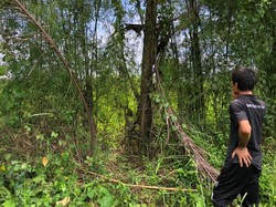 Warga Sempat Minta Bantuan Anjing Pelacak Cari Bocah Hilang di Depok