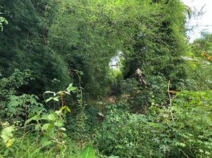 Ini Lokasi Bocah yang Sempat Hilang dan Diyakini Ibunya Diculik Wewe Gombel