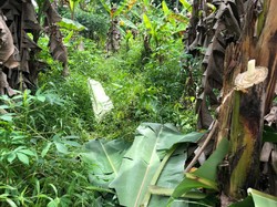 Polisi Buka Suara soal Bocah Sempat Hilang di Depok Bikin Geger