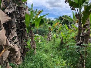 Cerita Polisi Ikut Bantu Cari Bocah yang Sempat Hilang di Depok
