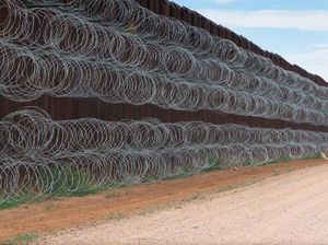Terpukau Karya Juara Kontes Foto Burung