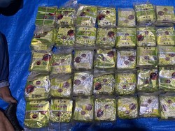 Bandar Narkoba Kabur Usai Tabrak Polisi di Cirebon, Sabu 35 Kg Ditinggal