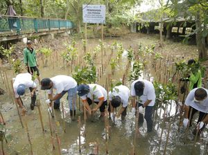 Perubahan Iklim Kian Nyata, Ini Langkah BUMN Tekan Pemanasan Global