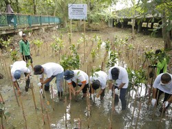 Perubahan Iklim Kian Nyata, Ini Langkah BUMN Tekan Pemanasan Global