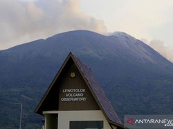 Ratusan Ternak di Lembata Mati Akibat Erupsi Gunung Ili Lewotolok
