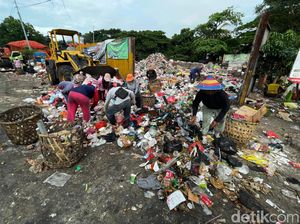Sang Pengais Sampah Berjibaku dengan Bau dan Terik Matahari