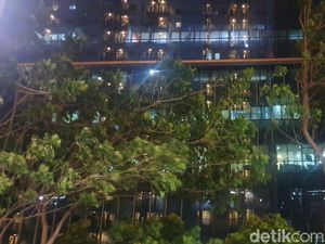 Siklon Tropis Paddy Jadi Penyebab Angin Kencang Jakarta Semalam