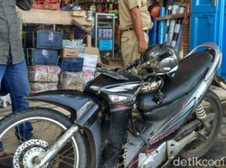 Viral Pemotor Tertimpa Pohon Tumbang di Batang, Kakek-Cucu Selamat